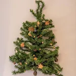 Lucia
